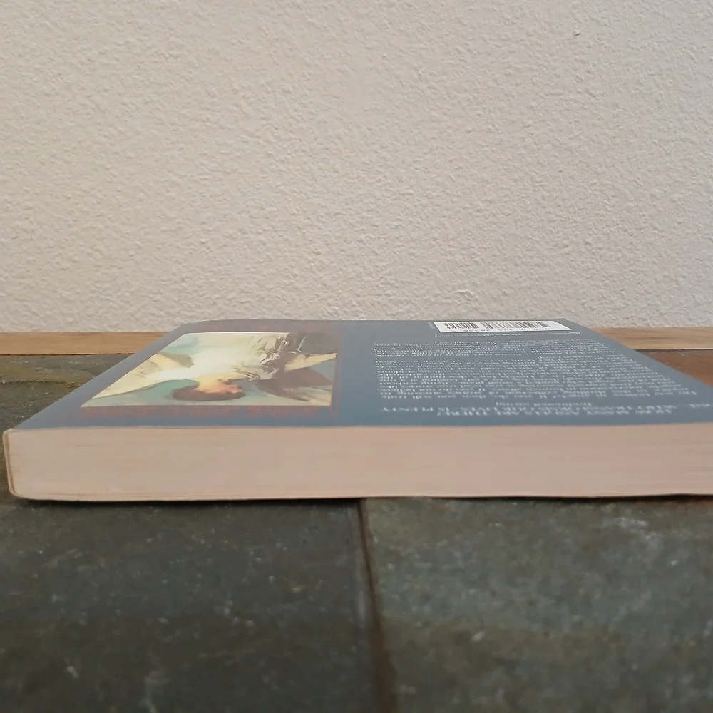 Where Angels Walk | Paperback Book